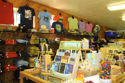camper-store